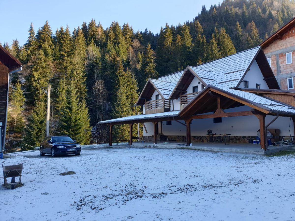 Pensiunea Cheile Repezii Borşa Esterno foto